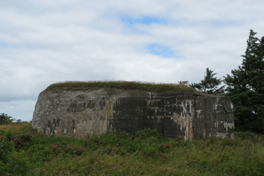 During WWII, the west coast of Denmark was part of the German coastal defence system known as the Atlantic Wall. The Germans built three bunkers north of Vester Vedsted in 1943, each with a telephone, machine gun and cannon. 